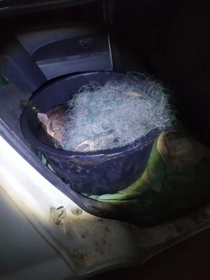 Рыбалка будет стоить двоим белорусам 5 тысяч рублей