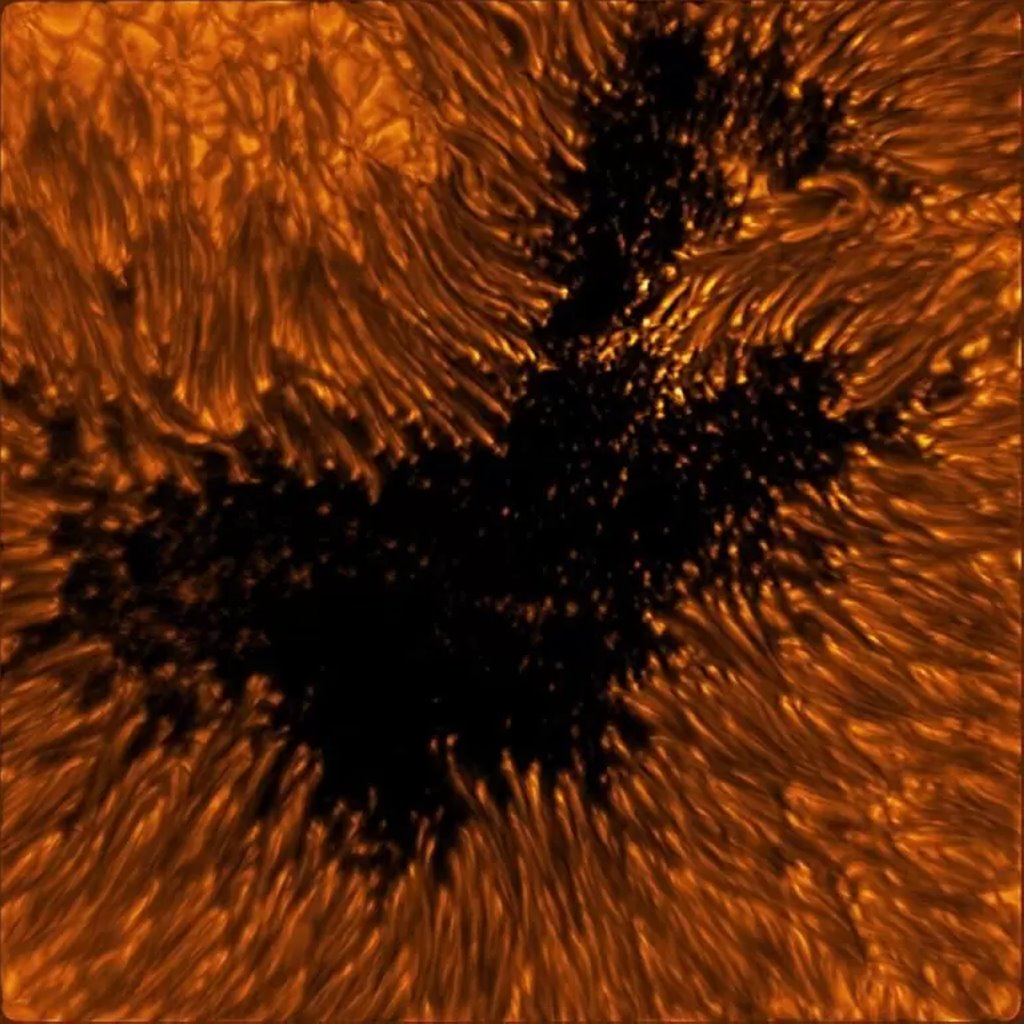 Опубликованы самые детализированные снимки Солнца. Такого вы еще не видели!