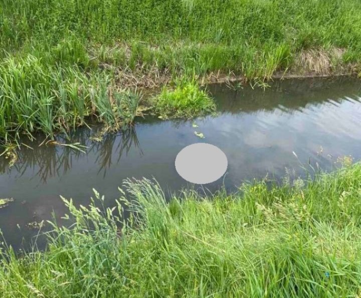 Тело пенсионера нашли в мелиоративном канале в Жабинковском районе