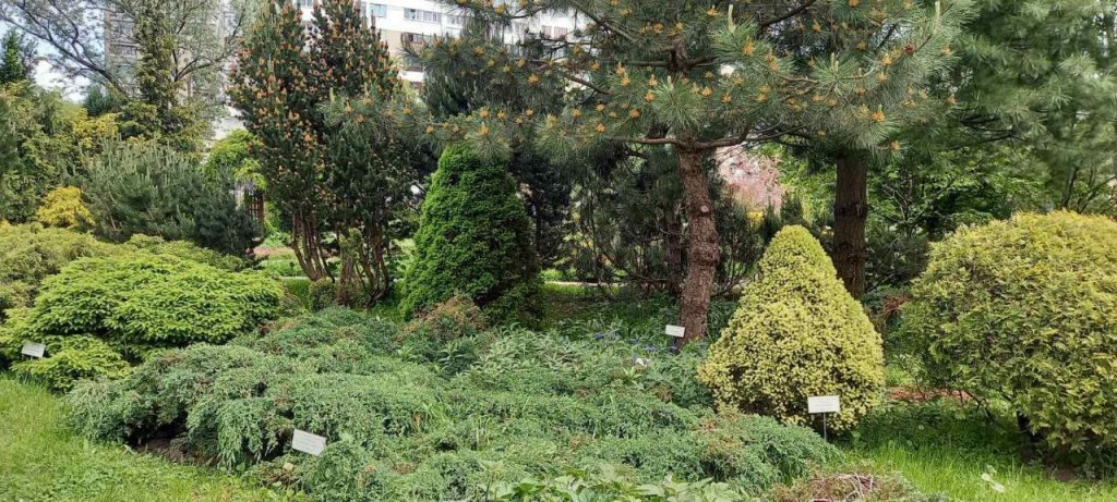 Эдем в центре Бреста