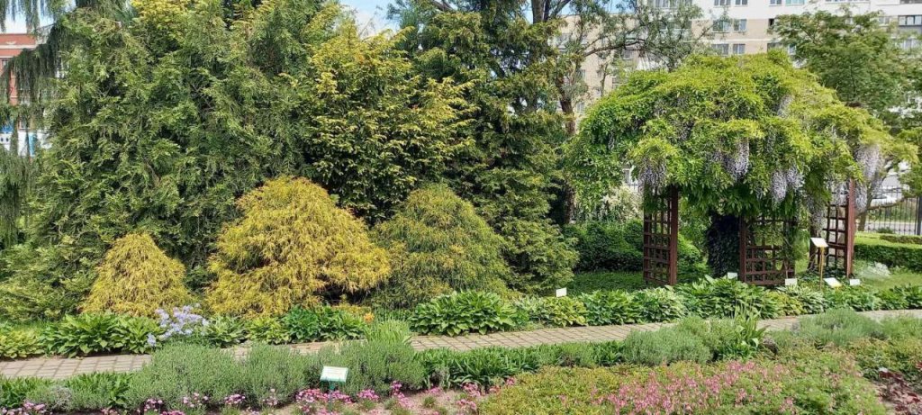 Эдем в центре Бреста