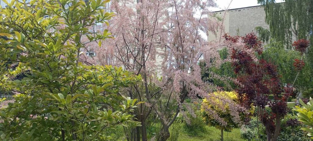 Эдем в центре Бреста