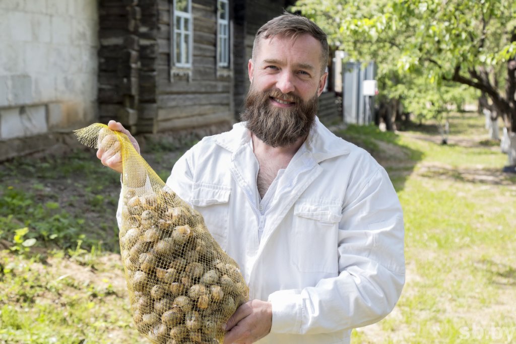 Фотофакт. Как в Беларуси семья выращивает улиток