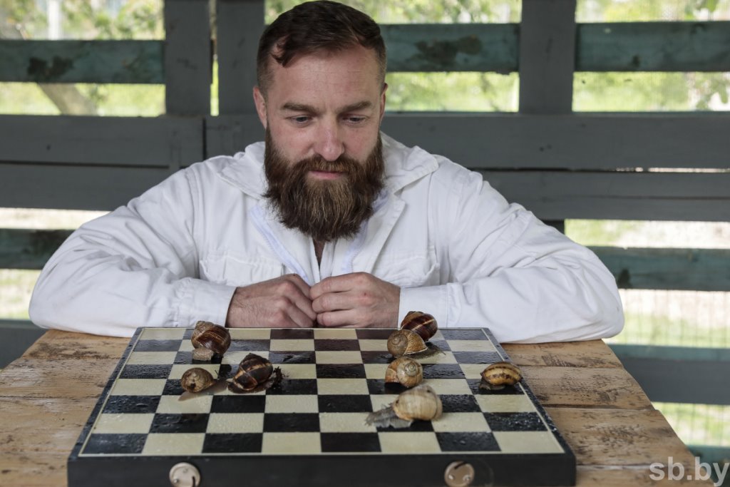 Фотофакт. Как в Беларуси семья выращивает улиток