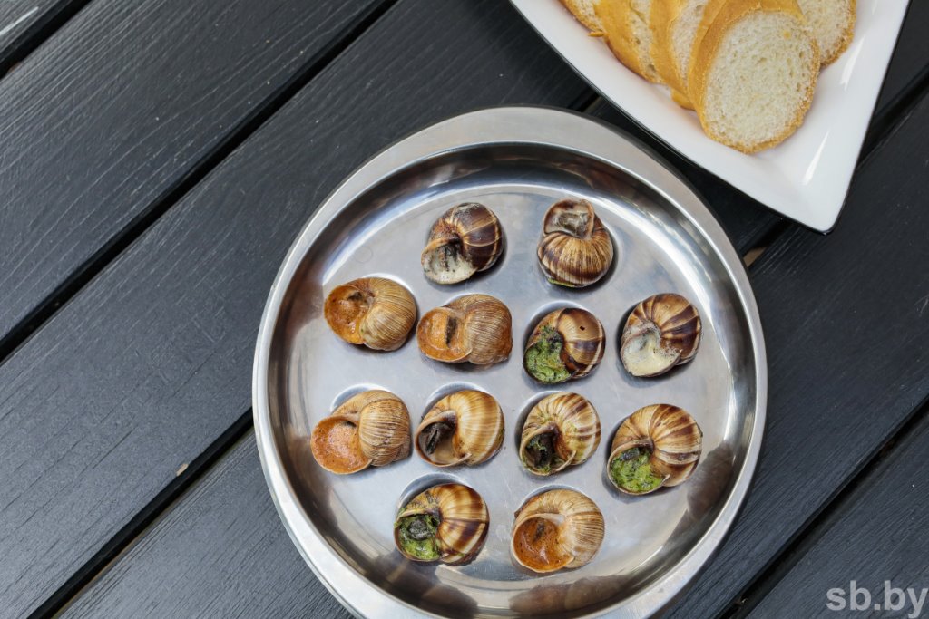 Фотофакт. Как в Беларуси семья выращивает улиток