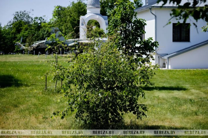 В Березовском районе выявлены опасные листогрызущие вредители