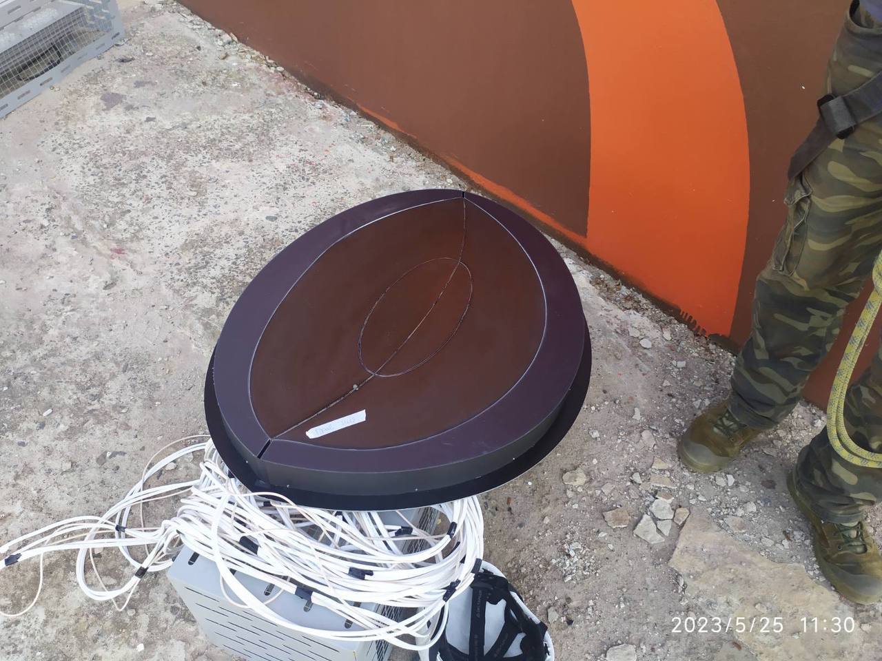 У огромного зубра на трассе М1 теперь светятся глаза