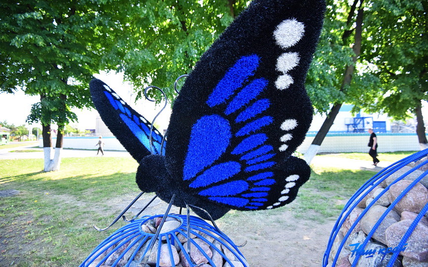 На оживленном перекрестке в Барановичах присела гигантская бабочка