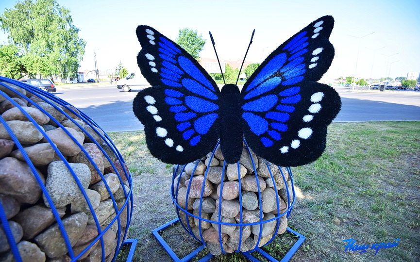 На оживленном перекрестке в Барановичах присела гигантская бабочка