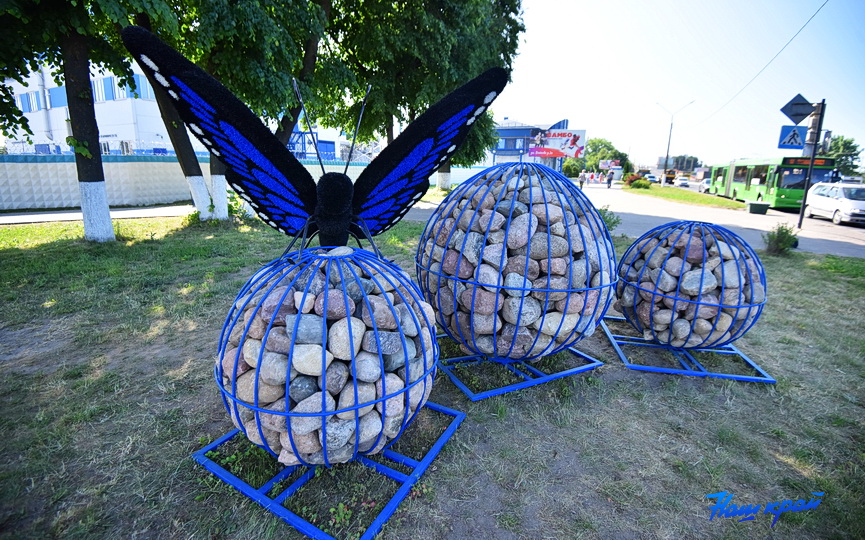 На оживленном перекрестке в Барановичах присела гигантская бабочка