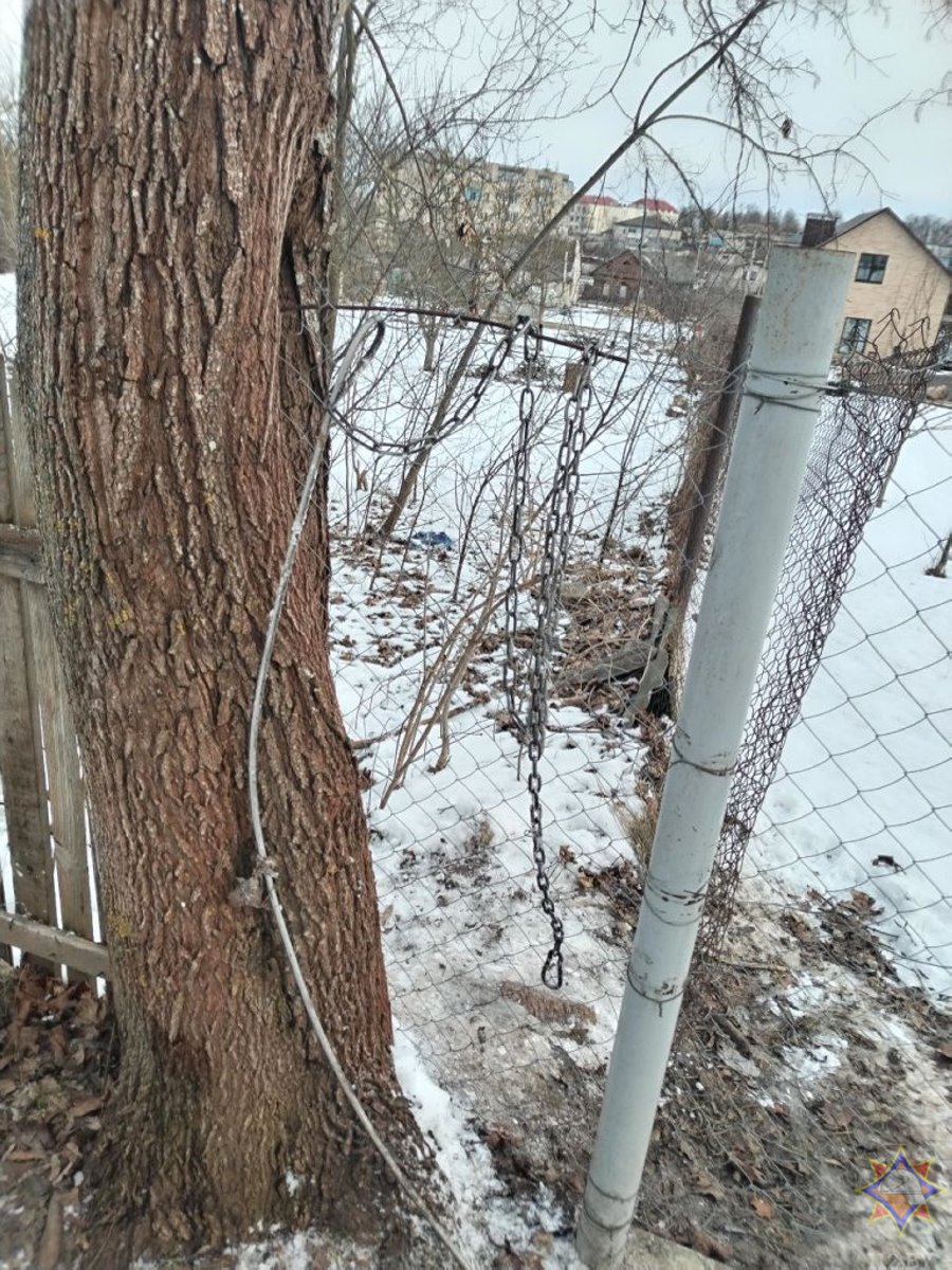 В Ляховичах спасатели освободили собаку, застрявшую в сетке