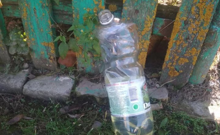 Фото носит иллюстративный характер