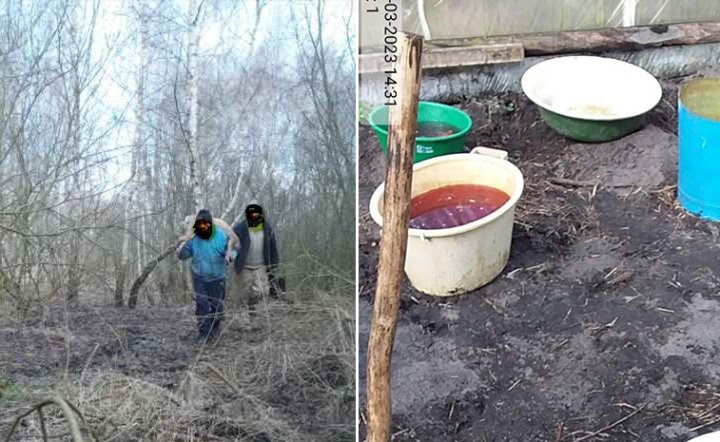 Несли косулю - и попали в фотоловушку. В Брестской области задержали браконьеров