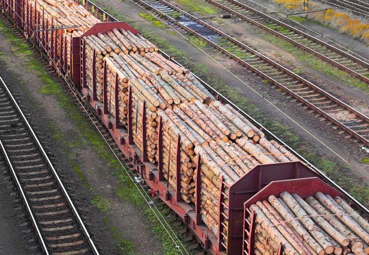 Что Беларусь покупает у Индии – посмотрели статистику