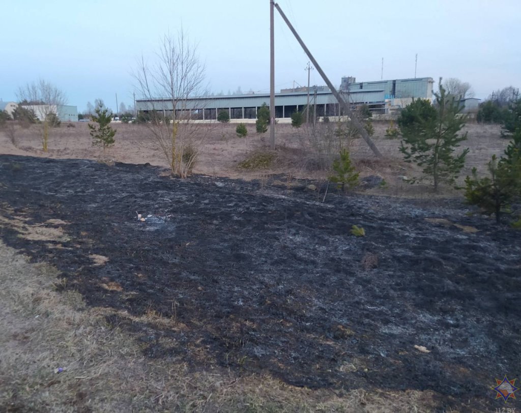 В Беларуси мужчина неудачно покурил в поле и едва не сгорел заживо
