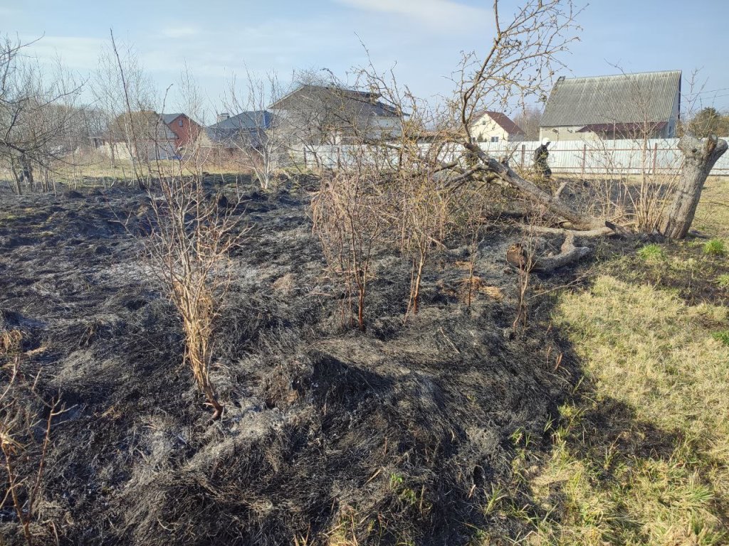 Жгла мусор, вспыхнула трава. Случай в Жабинке