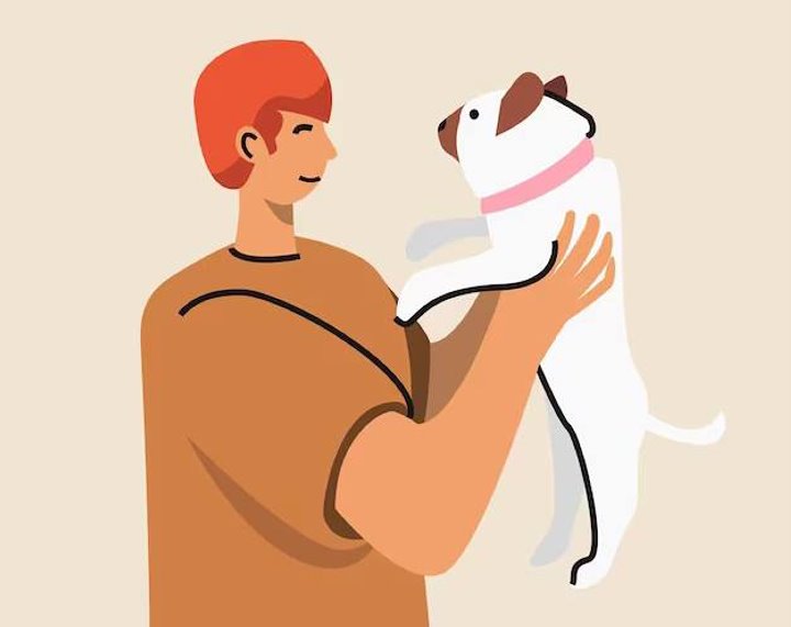 Фото из открытых источников (иллюстративное)