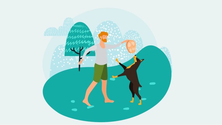 Фото из открытых источников (иллюстративное)