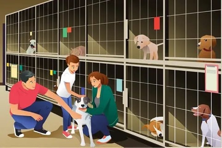 Фото из открытых источников (иллюстративное)