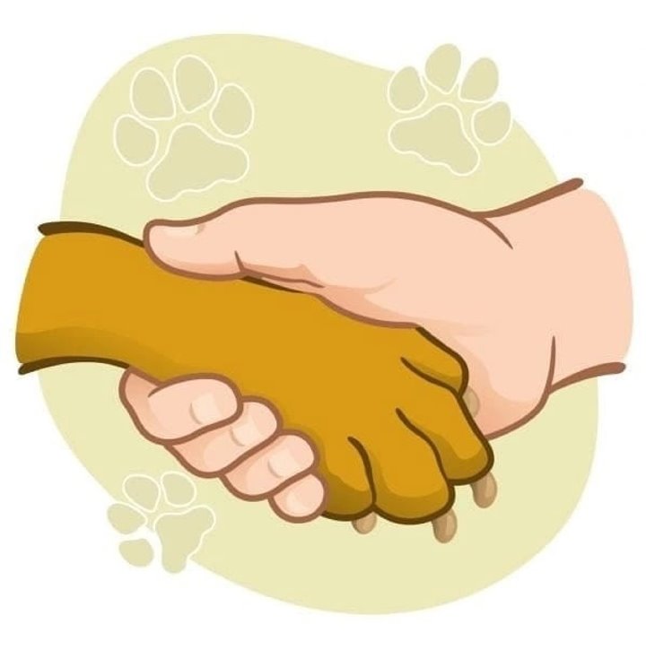 Фото из открытых источников (иллюстративное)