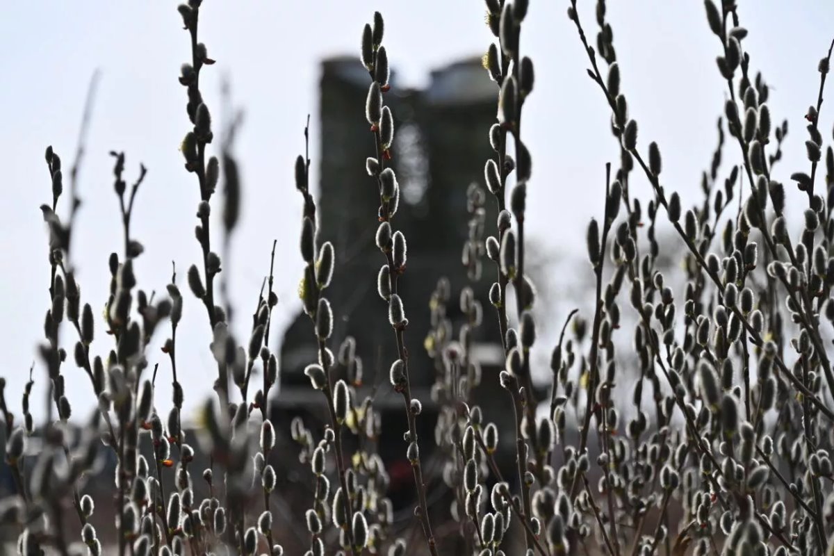 Зенитный ракетный полк в Лунинце заступил на службу