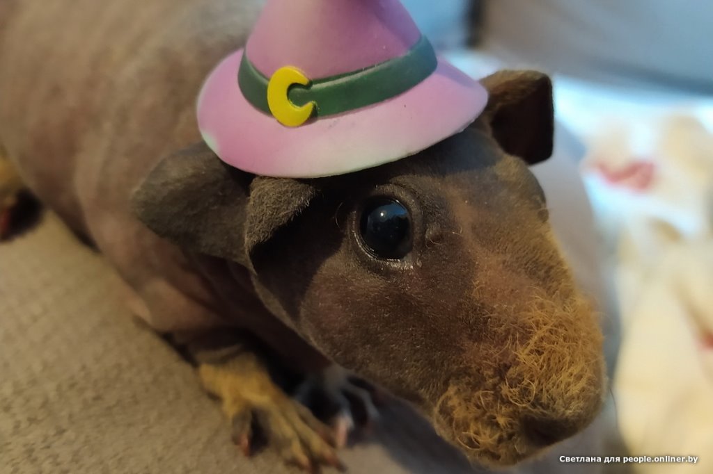 Это что вообще? Белоруска завела муми-троллей и продает их детей