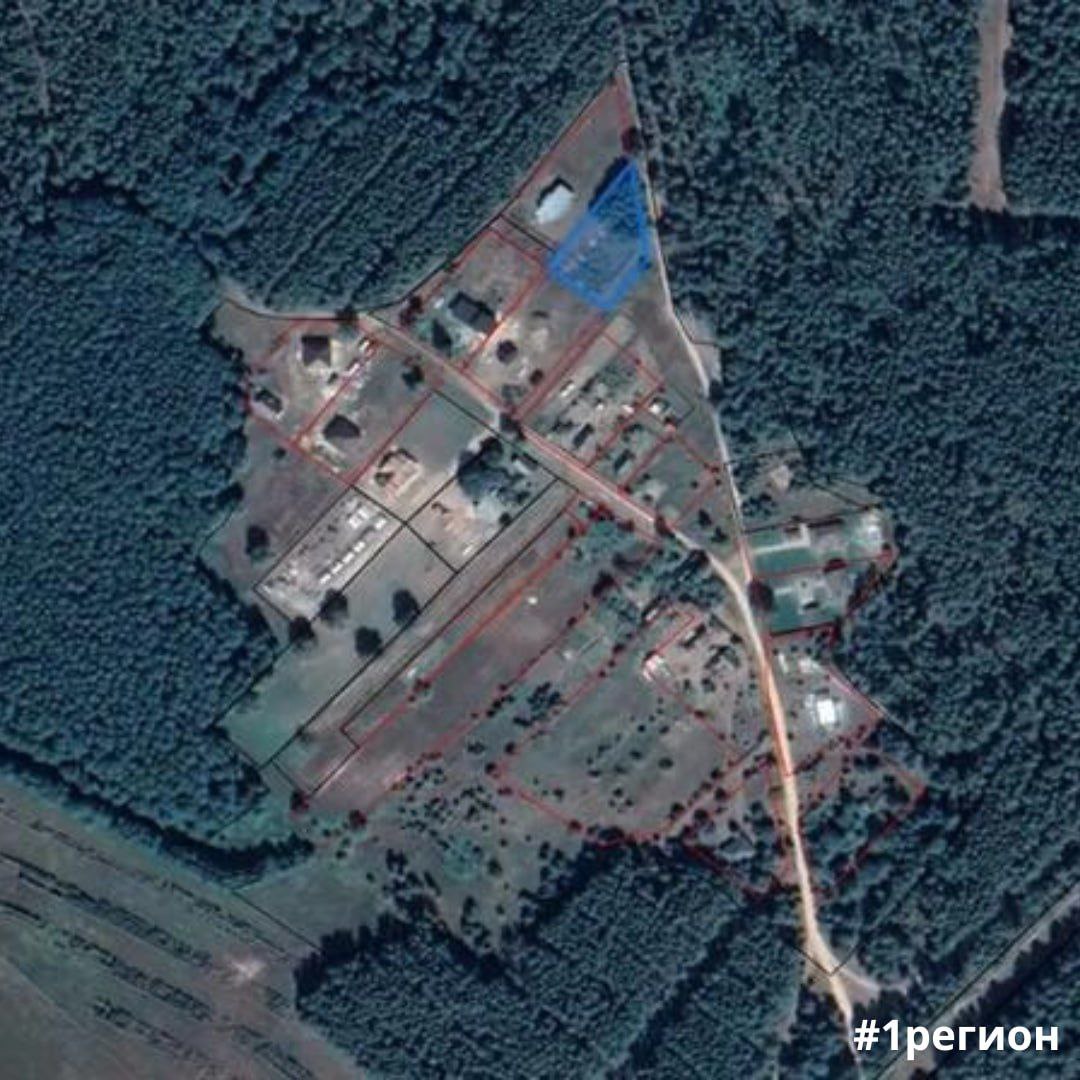 Участок в Беловежской пуще ушел с молотка за рекордную цену