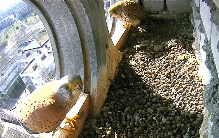 Скриншот из видео