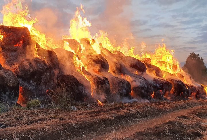 Пожар уничтожил 30 тонн сена в Столинском районе
