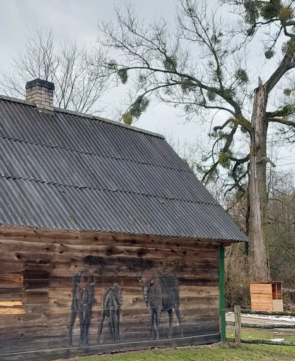 «Под окна приходят зубры». Парень купил в заброшенной деревне хату на болоте и открыл агроусадьбу
