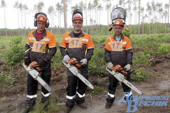 В Дрогичинском районе прошел областной чемпионат вальщиков леса
