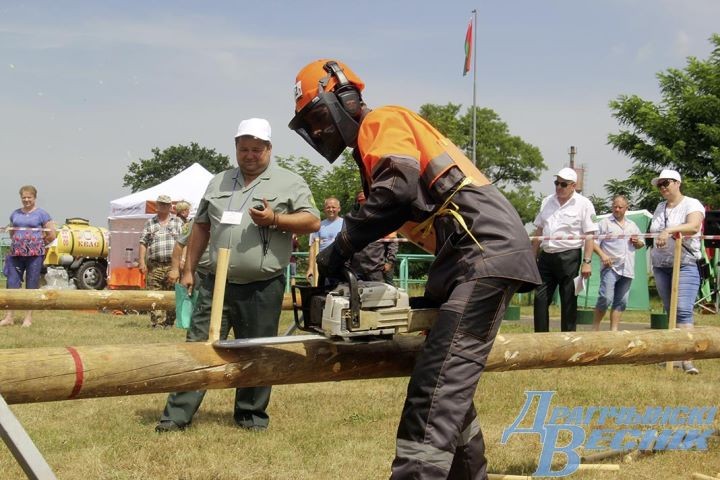 В Дрогичинском районе прошел областной чемпионат вальщиков леса