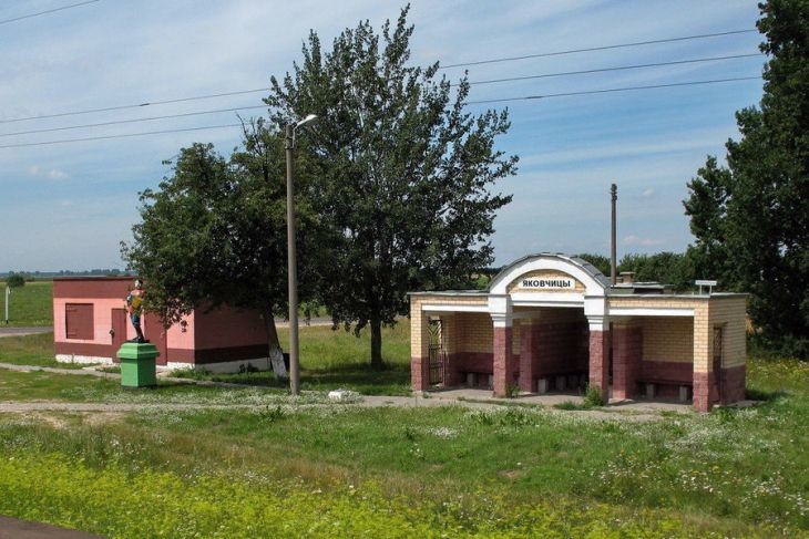 Награда снова нашла дом. Найденную под Кобрином медаль «За отвагу» передали родственнице ветерана