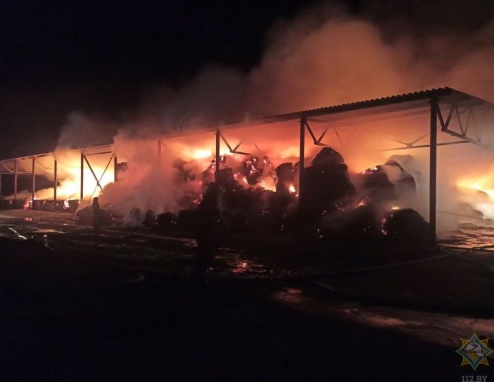 В Брестской области сгорело 120 тонн сена