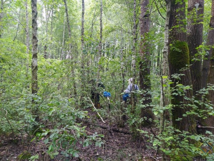 В Брестской области заблудились 3 человека: на помощь пришли спасатели