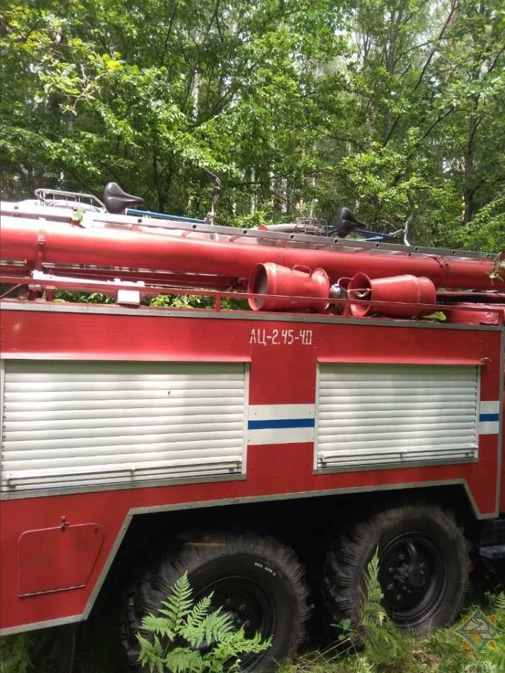 В Брестской области заблудились 3 человека: на помощь пришли спасатели