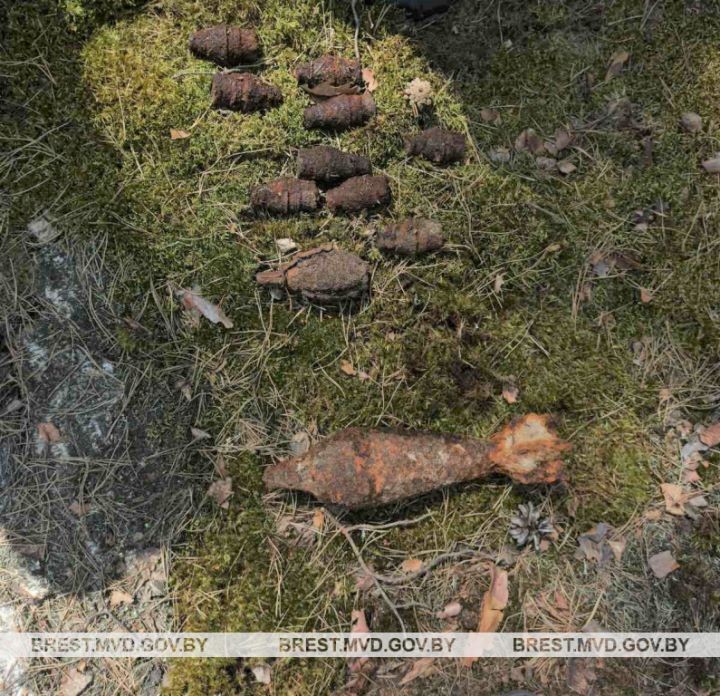 В Малоритском районе обнаружены боеприпасы