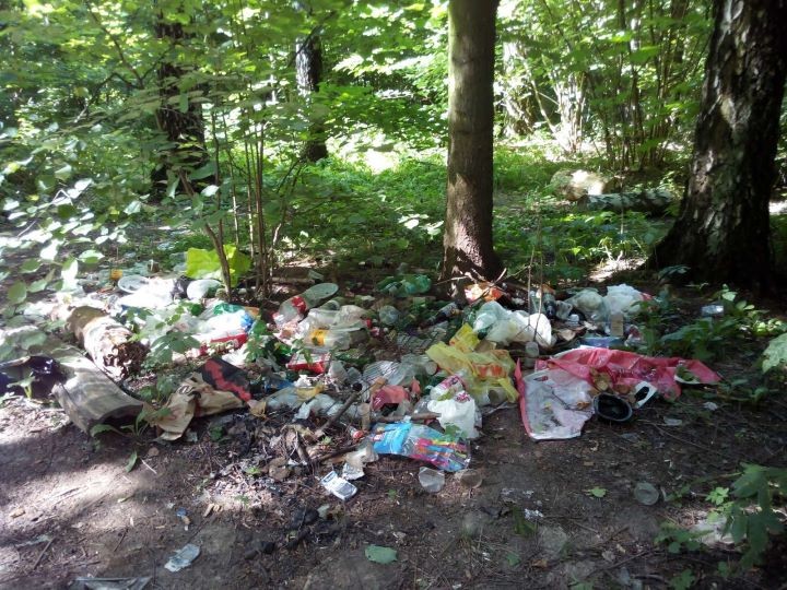 Брестчанин: Можно ли пожаловаться на отдыхающих, которые не убирают за собой мусор?