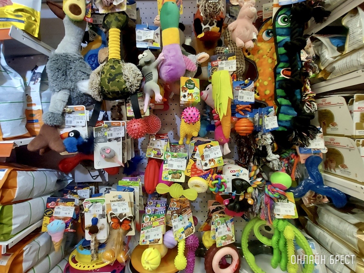 Скидка выходного дня в брестских зоомагазинах «Доктор Хвостов». Что купили, сколько отдали?