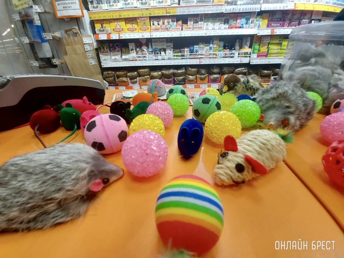 Скидка выходного дня в брестских зоомагазинах «Доктор Хвостов». Что купили, сколько отдали?