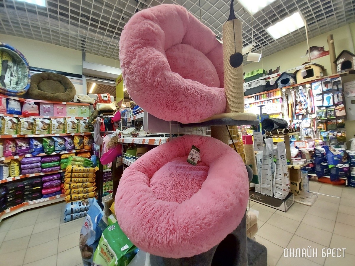 Скидка выходного дня в брестских зоомагазинах «Доктор Хвостов». Что купили, сколько отдали?