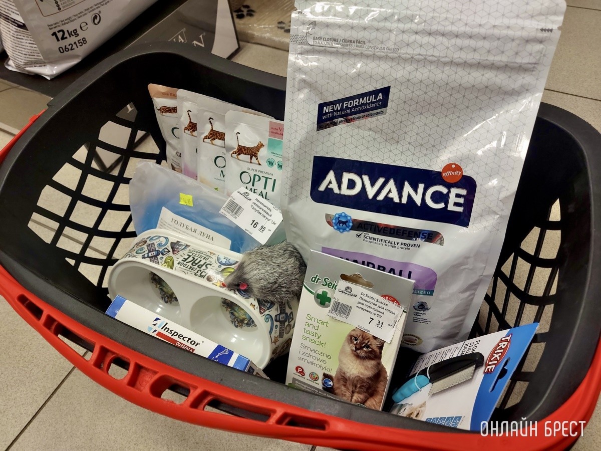 Скидка выходного дня в брестских зоомагазинах «Доктор Хвостов». Что купили, сколько отдали?