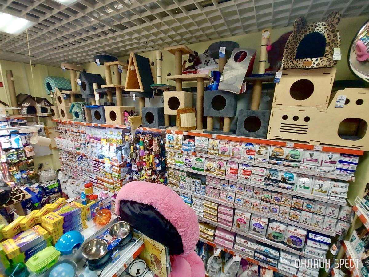 Скидка выходного дня в брестских зоомагазинах «Доктор Хвостов». Что купили, сколько отдали?