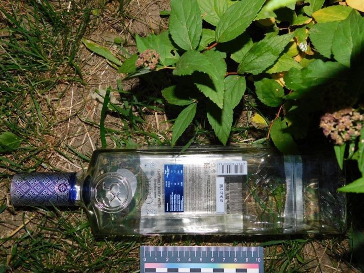 Женщина выбросила бутылку от водки в окно и попала в 2-летнюю девочку