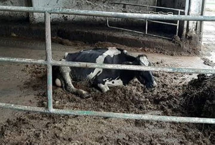 Фото из открытых источников (иллюстрация)