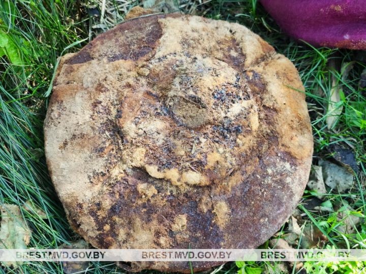 Житель Брестской области копал выгребную яму и нашел военный арсенал