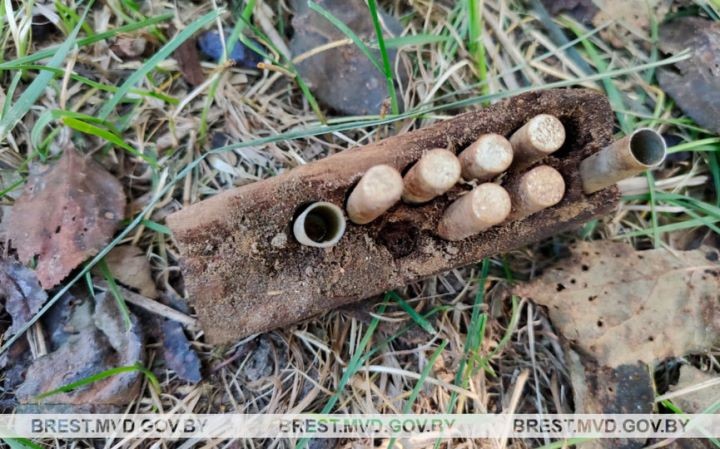 Житель Брестской области копал выгребную яму и нашел военный арсенал