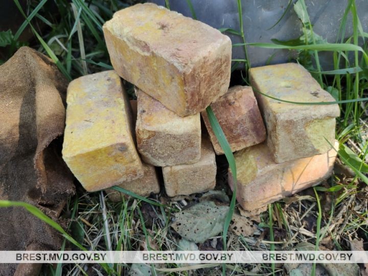Житель Брестской области копал выгребную яму и нашел военный арсенал