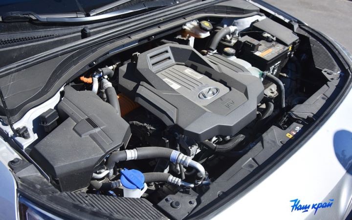 «Зеленый» Hundai пополнил автопарк барановичского предприятия. Как повел себя электрокар спустя полгода