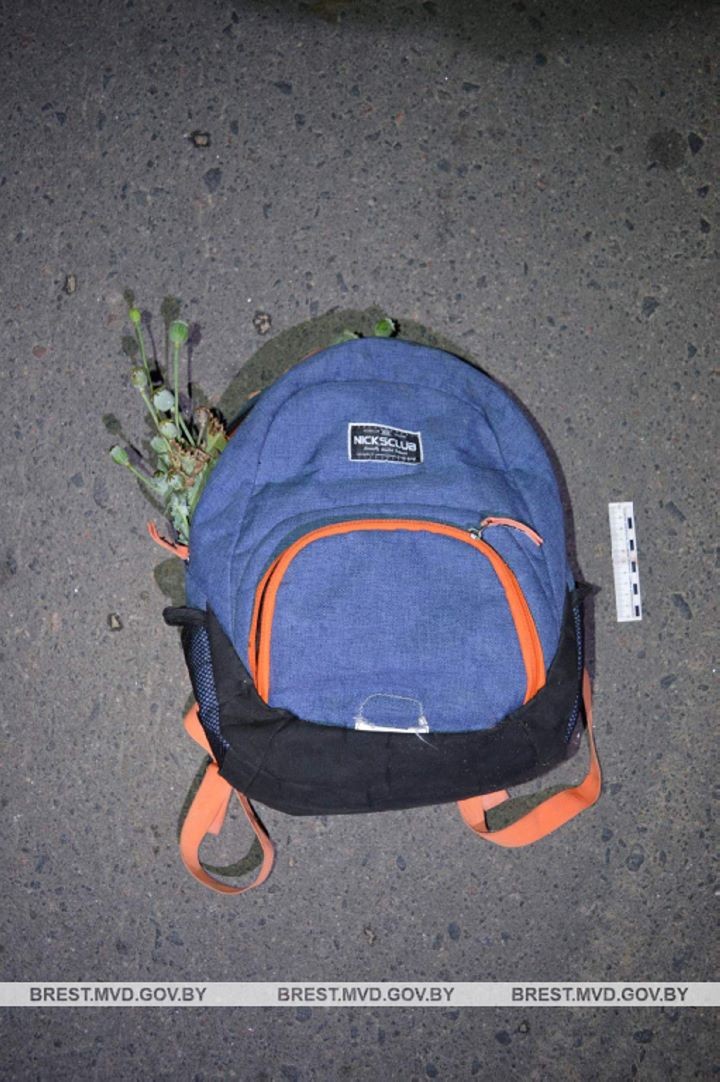 Когда ночное «дело» заканчивается неудачно. Случай в Брестской области